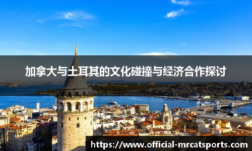 加拿大与土耳其的文化碰撞与经济合作探讨